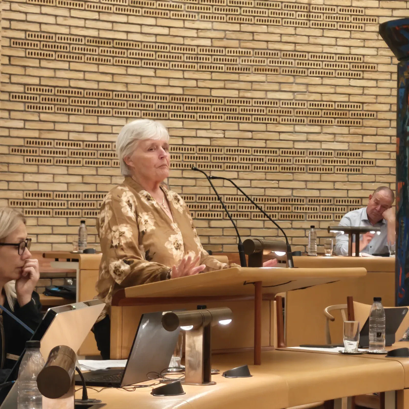 Linda Gade fra Dansk Folkeparti på talerstolen i Gladsaxe byrådssal