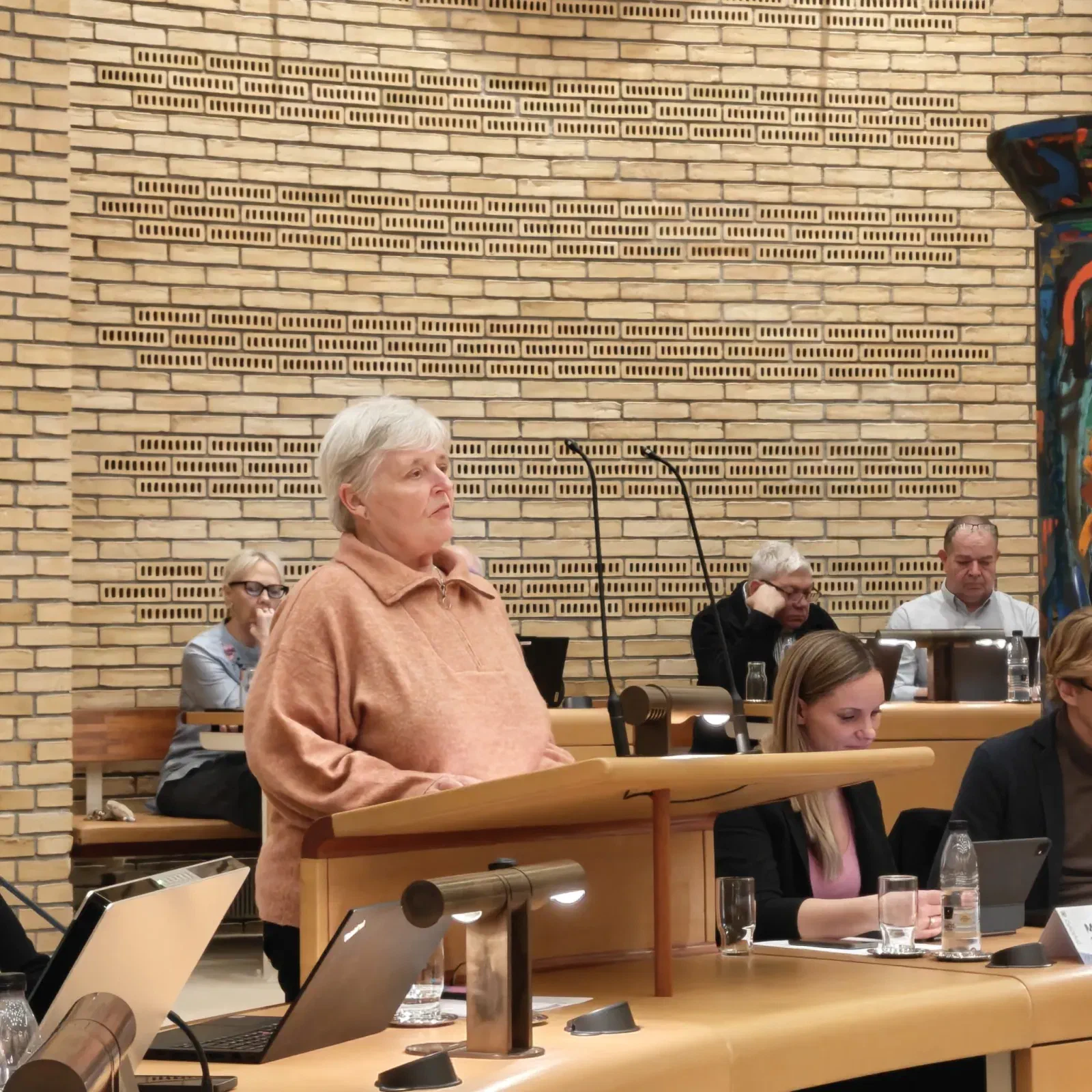 Taler på talerstolen i byrådssalen i Gladsaxe