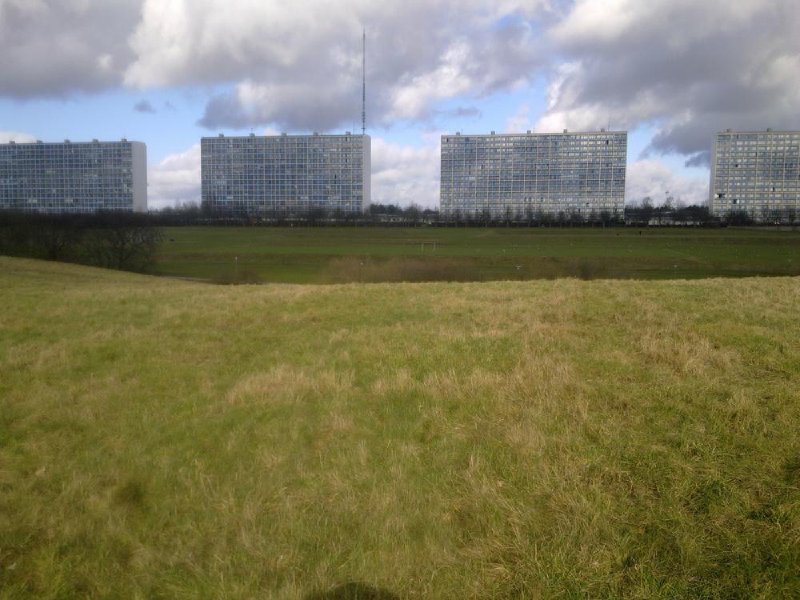 Højhusblokke i Høje Gladsaxe bag et stort græsareal