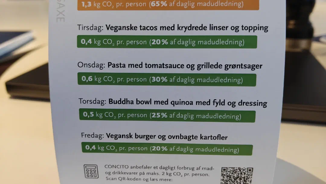 Har Danmarks CO2-indsats overhovedet global betydning?